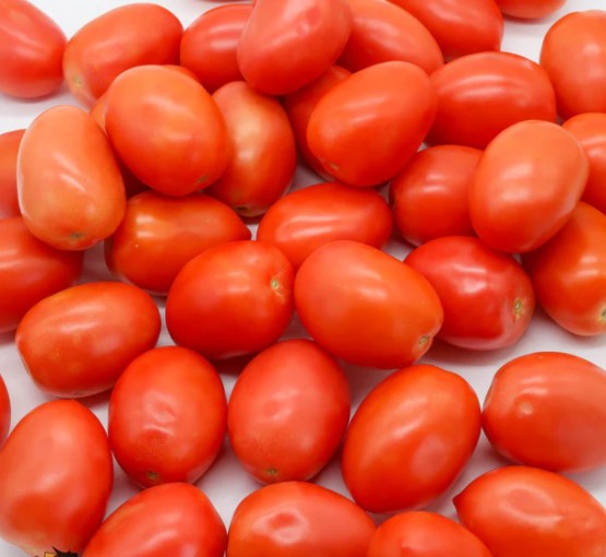 Tomate Roma