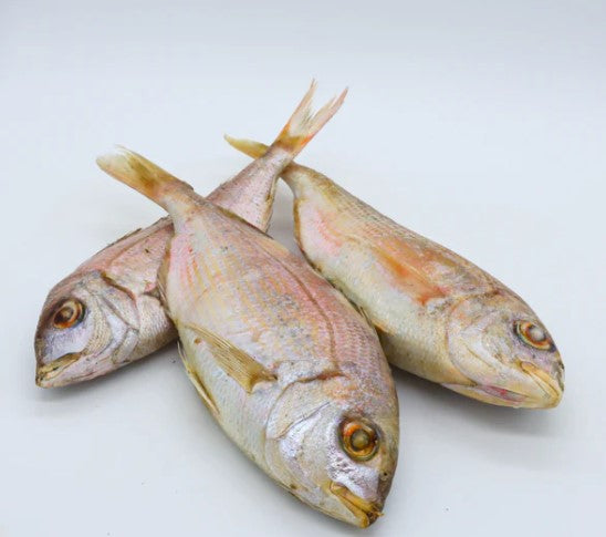 Dorade