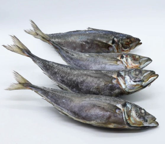Poisson Thomson
