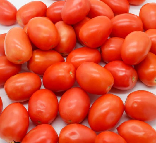 Tomate Roma